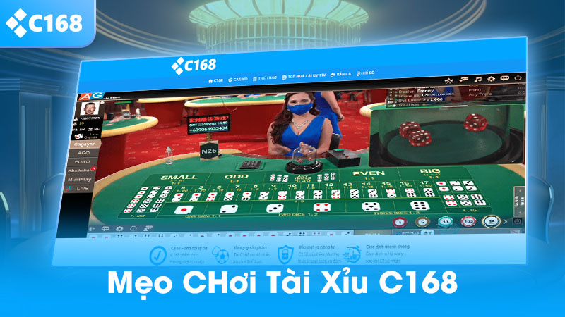 Mẹo chơi tài xỉu trăm ván thắng cả trăm