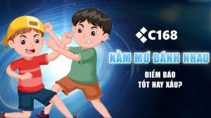 Nằm mơ thấy đánh nhau