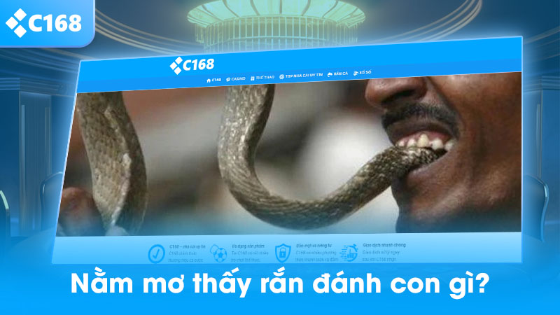 Nằm mơ thấy rắn cắn đánh con gì