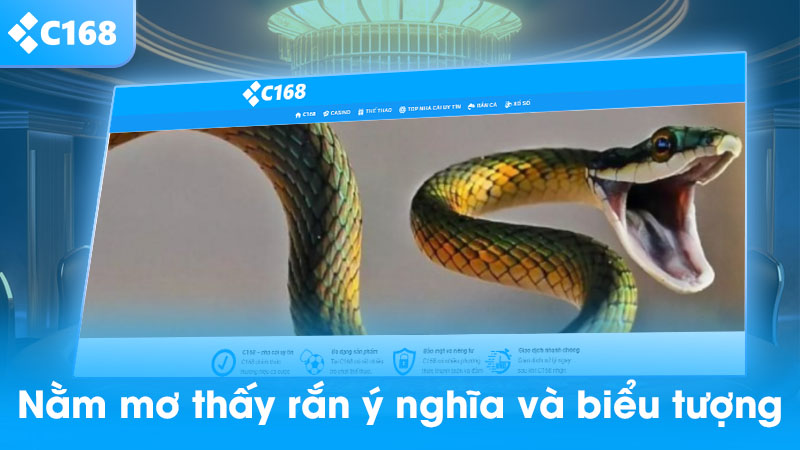 Nằm mơ thấy rắn và ý nghĩa biểu tượng văn hóa